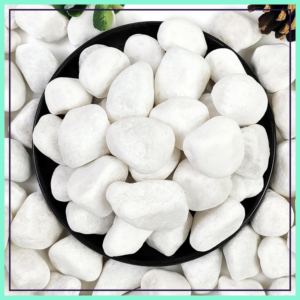 Aquarium Fish Names - 1-2 Inch White Pebbles for Indoor