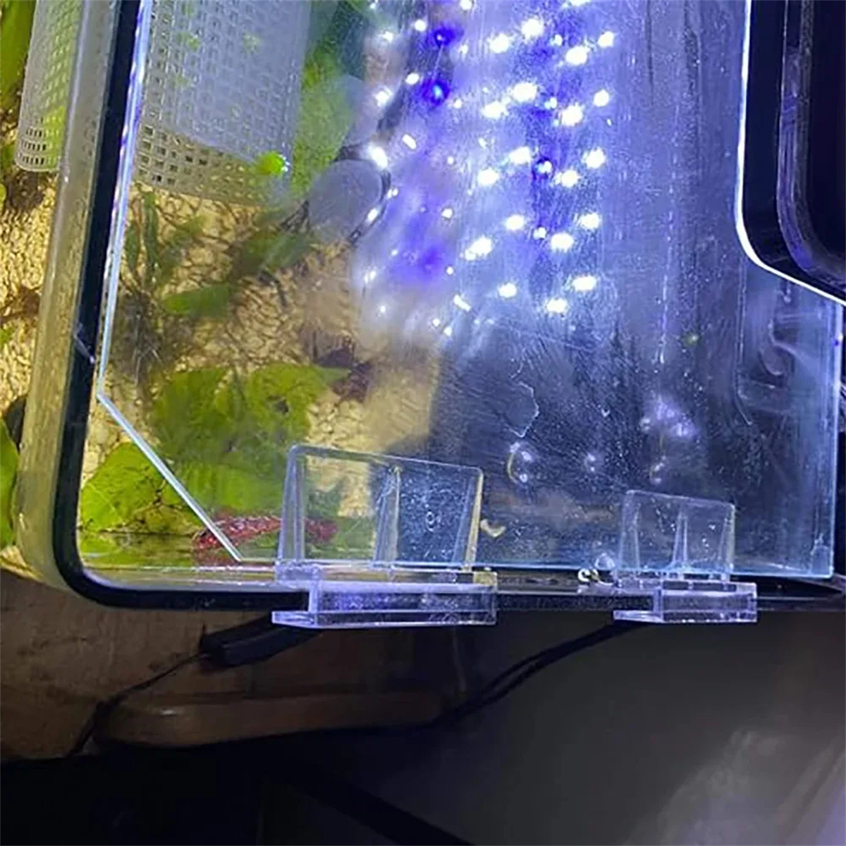 10Pcs Transparent Acrylic Fish - огляд і ціна Aquarium Fish Real
