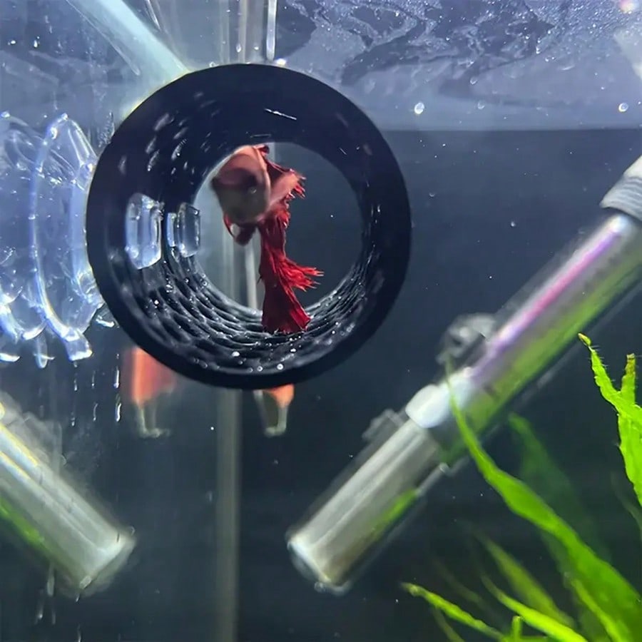 Aquarium Fish Hideout Black Ho - огляд і ціна Aquarium Fish Game