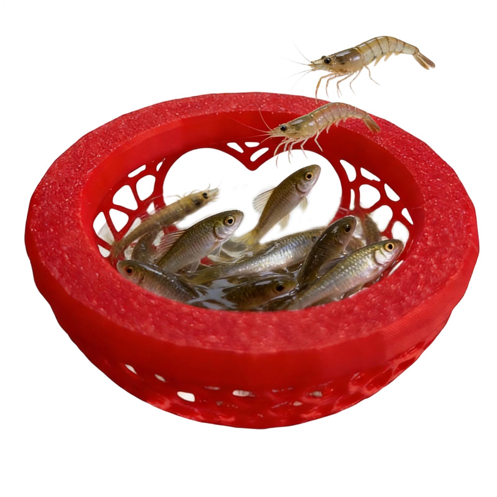 Floating betta shelter Betta h - огляд і ціна Aquarium Fish Game