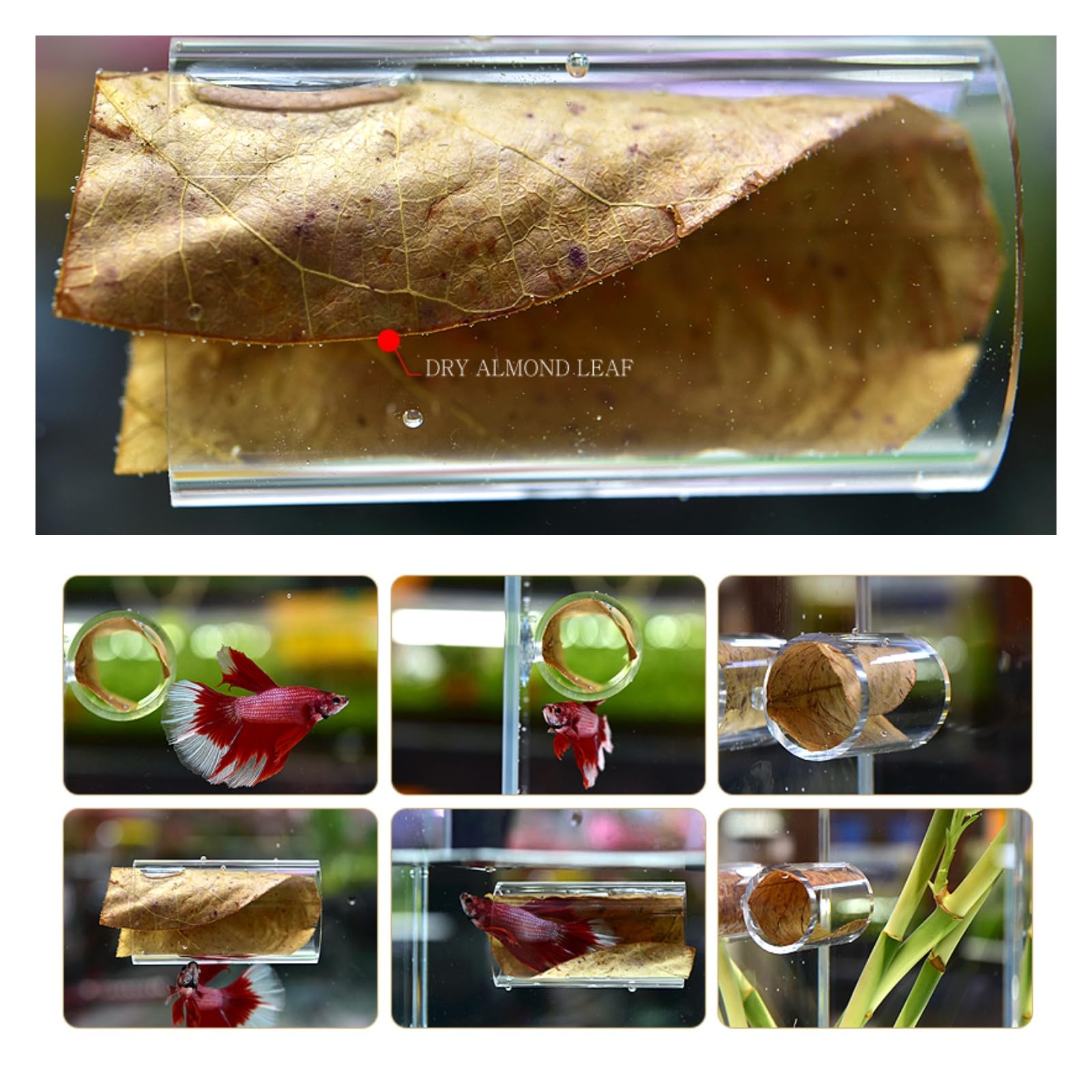 1/2Pcs Betta Fish Acrylic Tube - огляд і ціна Aquarium Fish Game