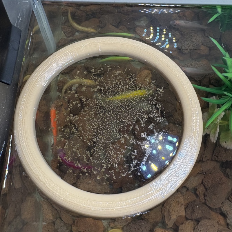 Aquarium feeders keep the aqua - огляд і ціна Aquarium Fish Keeping