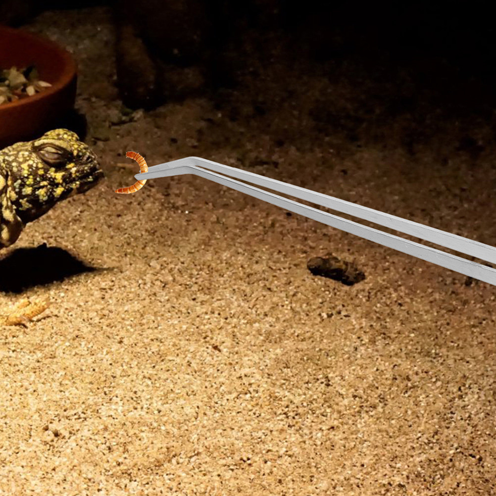 2Pcs Aquarium Tweezers Reptile - огляд і ціна Aquarium Fish Long