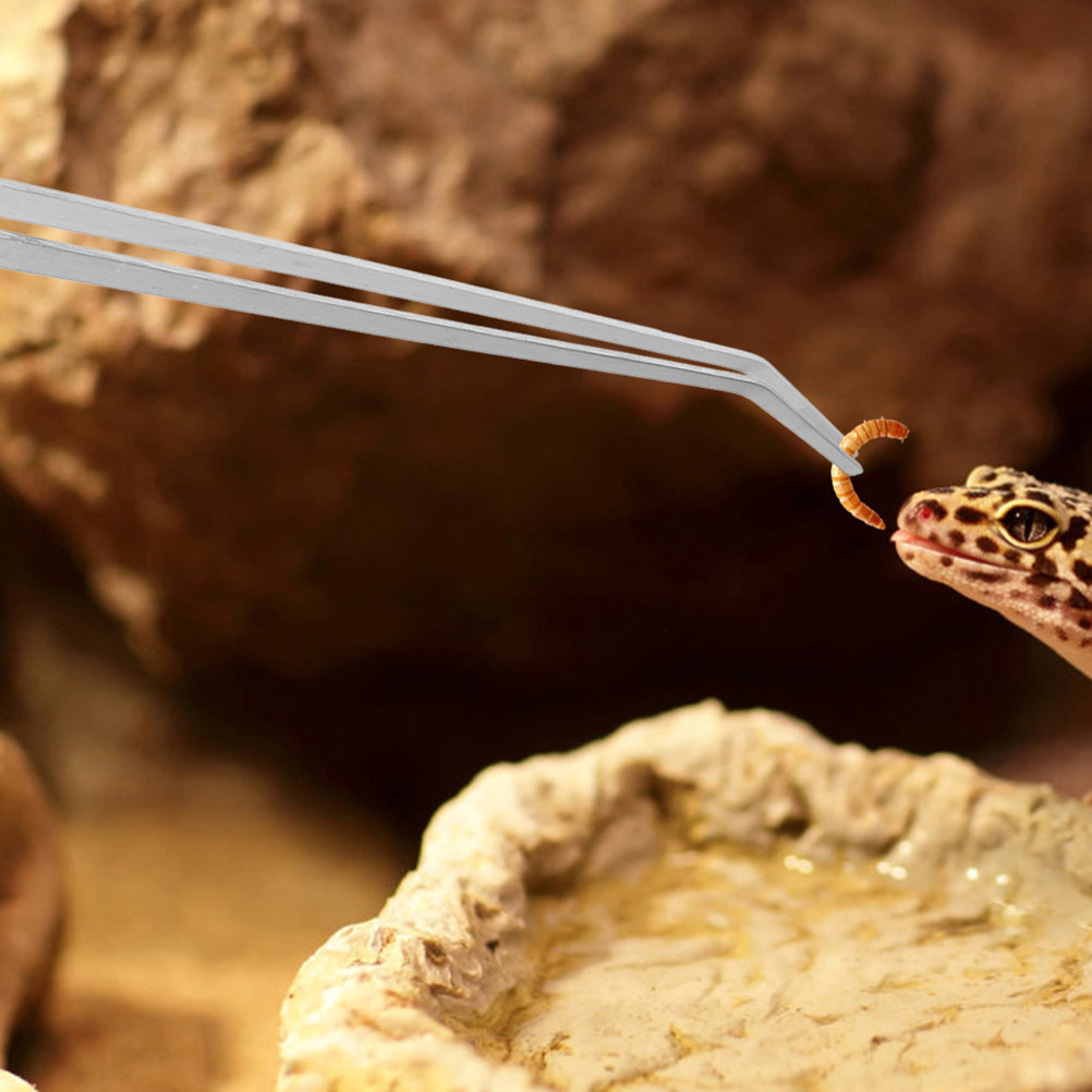 2Pcs Aquarium Tweezers Reptile - огляд і ціна Aquarium Fish Long