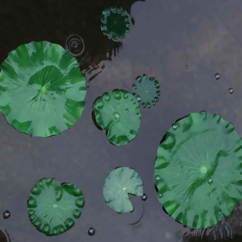 2026 Artificial Water Lily Lot - огляд і ціна Aquarium Fish Accessories