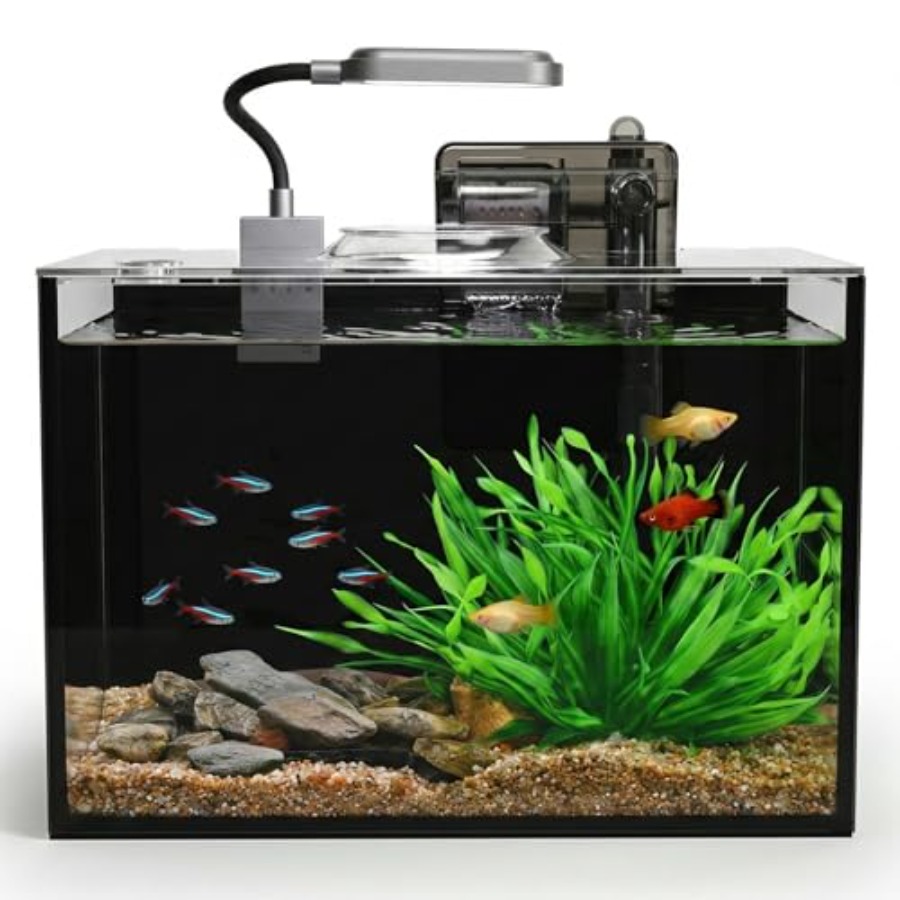 5 Small Aquarium Set Glass Fis - огляд і ціна Aquarium Fish Keeping