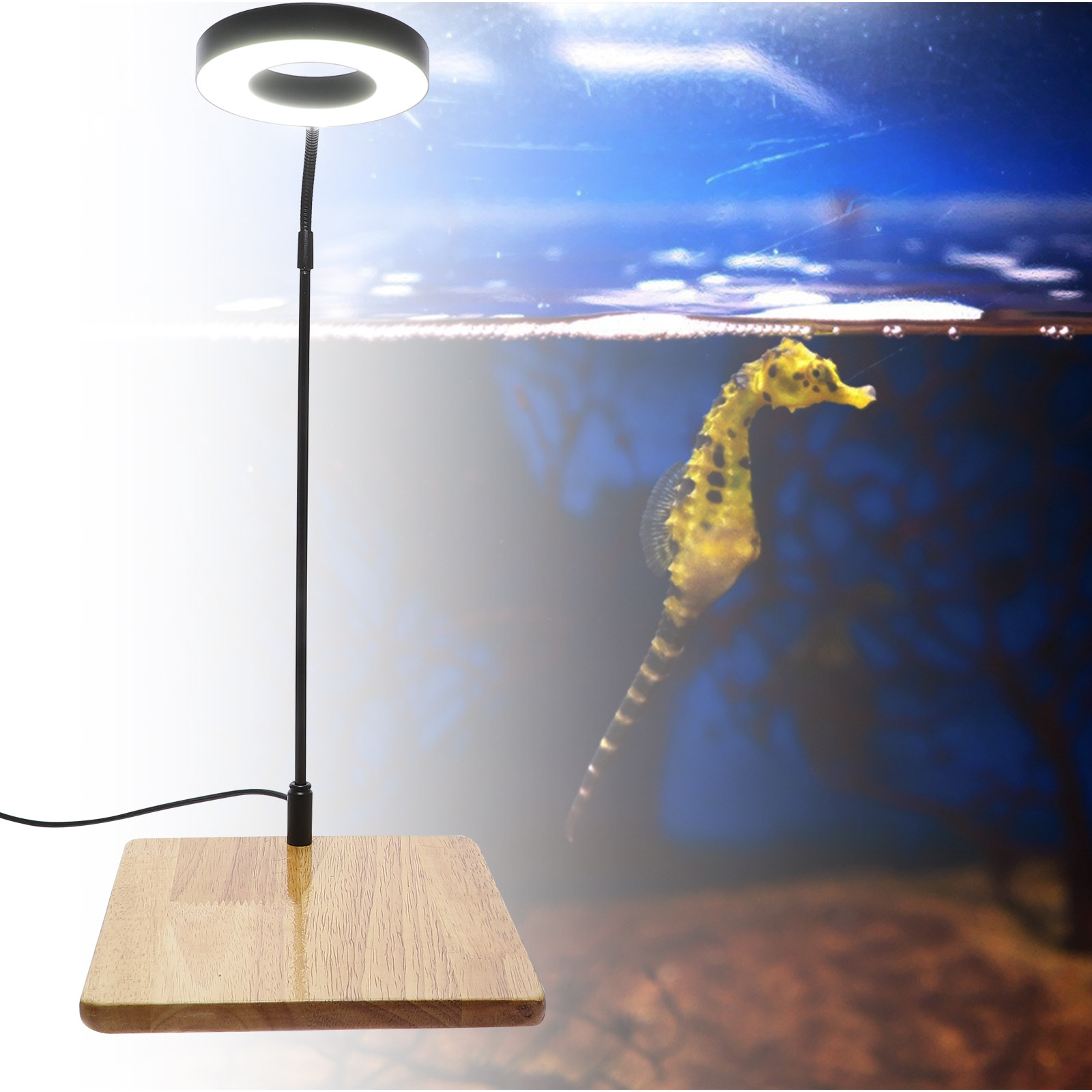 1Pcs Aquarium Fill Light High  - огляд і ціна Aquarium Fish Light Lamp