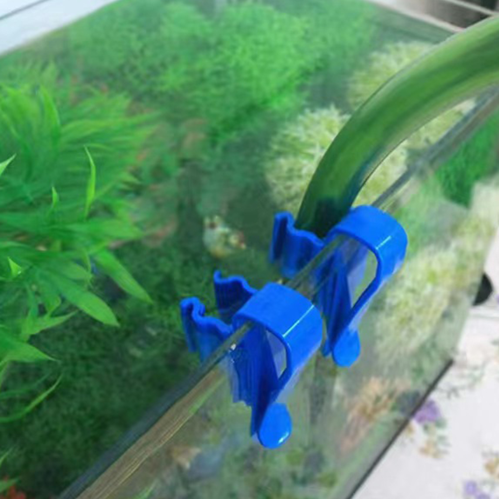 Aquarium Tube Holder Clip Fish - огляд і ціна Aquarium Fish Real