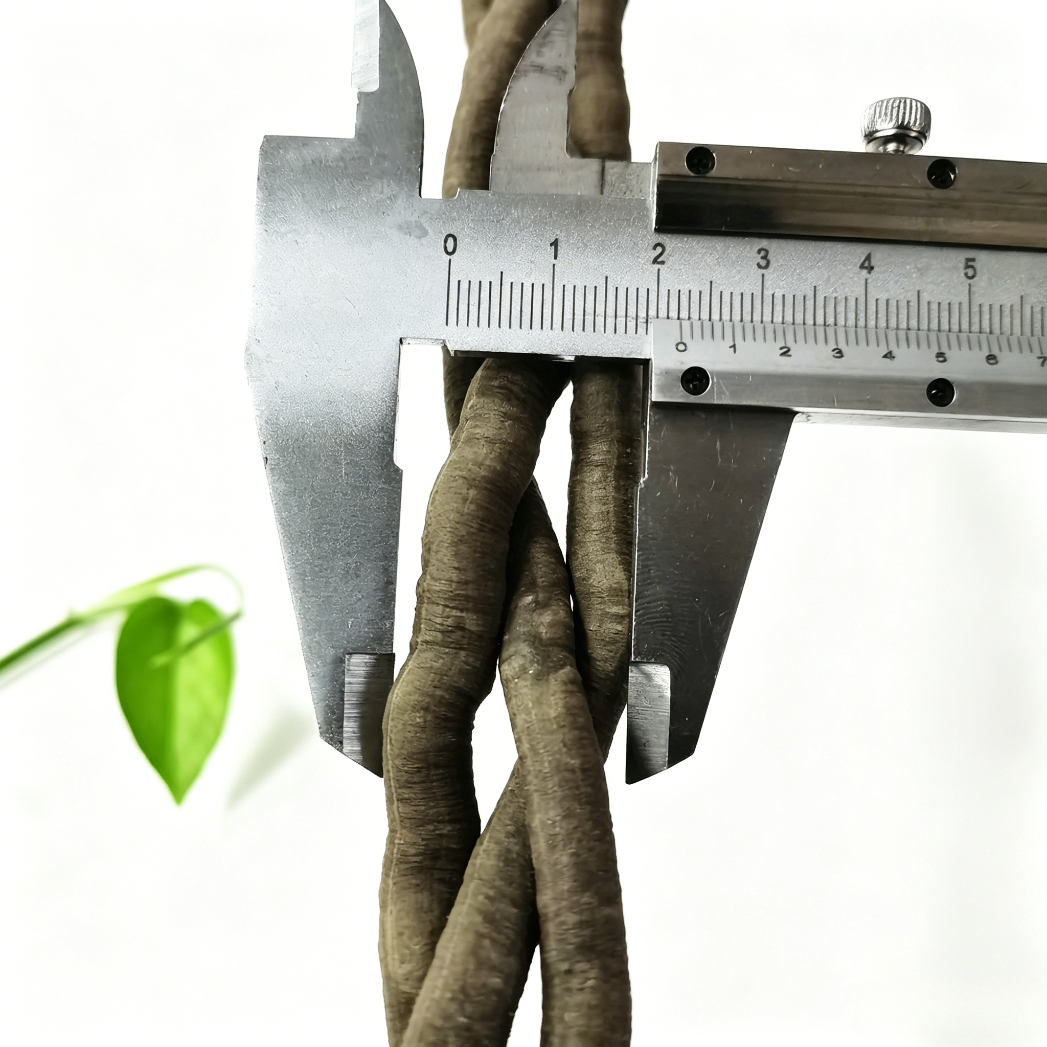 100cm Artificial Vine Fake Pla - огляд і ціна Aquarium Fish Names