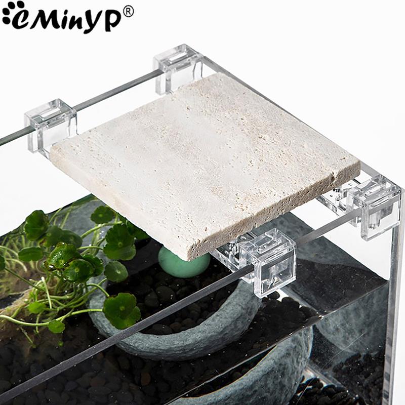 4Pcs Fish Tank Acrylic Clips f - огляд і ціна Aquarium Fish Real