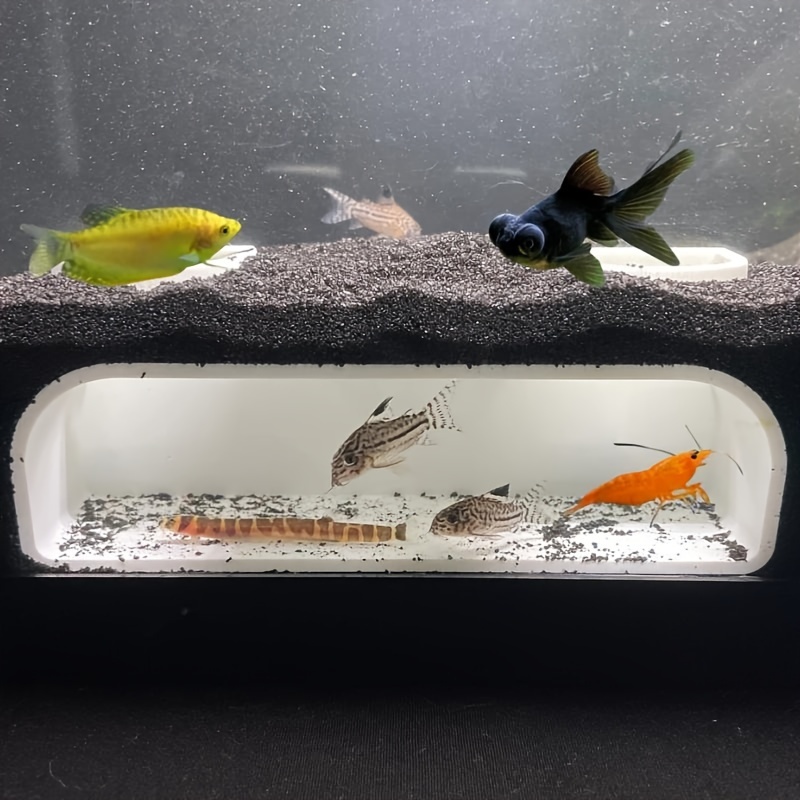 Aquarium Ground Floor Resident - огляд і ціна Aquarium Fish Game