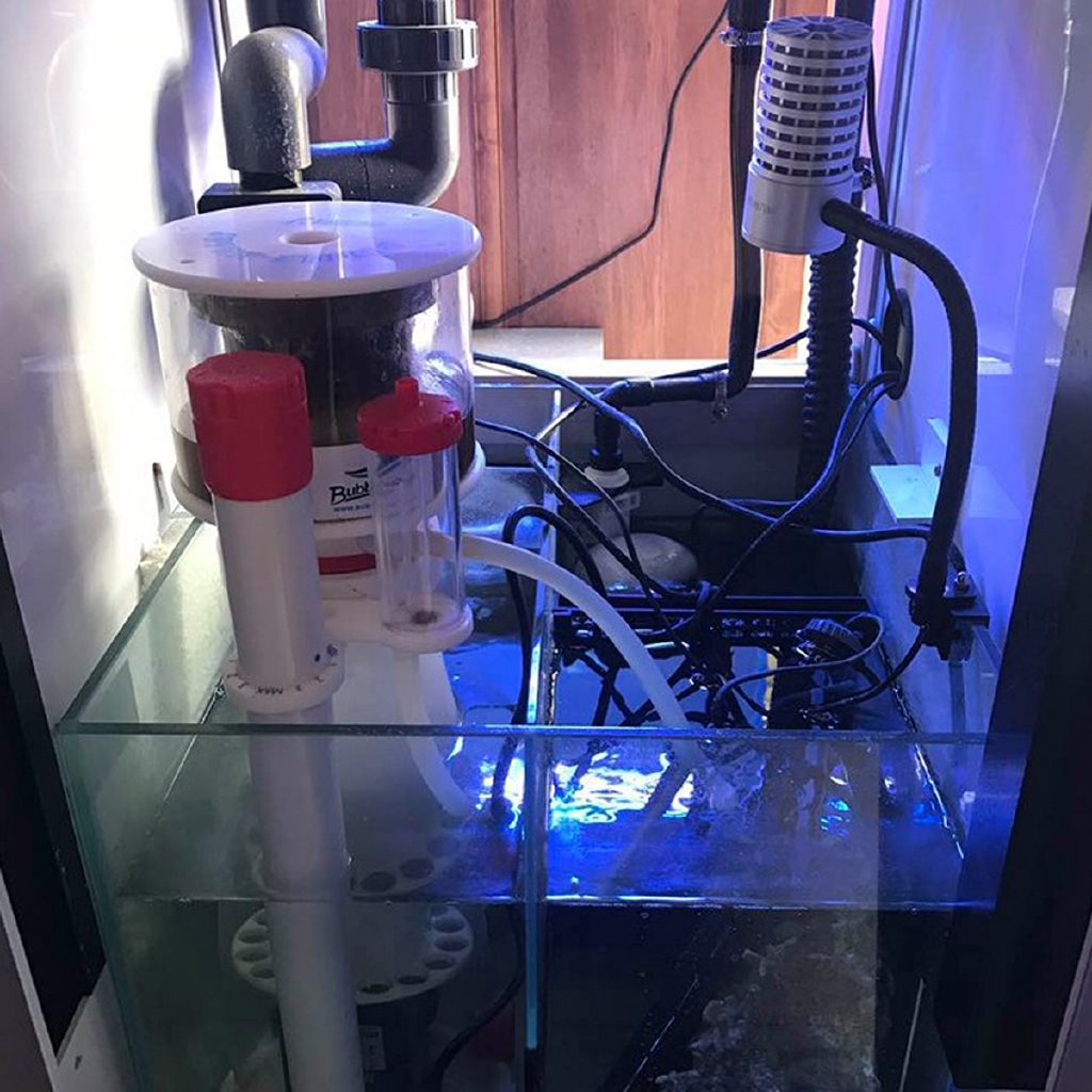 220V Bubble Magus Curve5 Aquar - огляд і ціна Protein Skimmer Reef