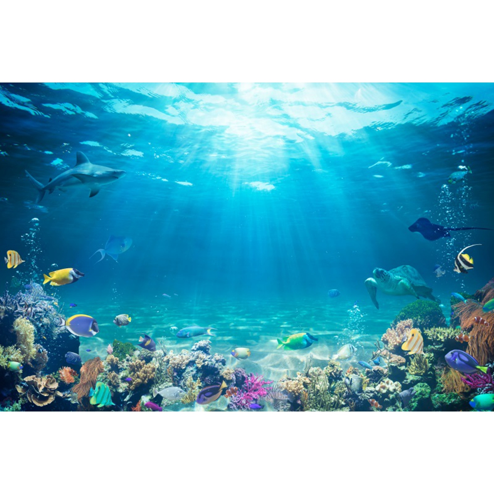 Underwater World Seabed Backdr - огляд і ціна Aquarium Fish Shark