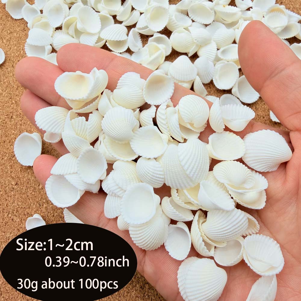 200pcs about 60g Tiny Sea Shel - огляд і ціна Aquarium Fish Names