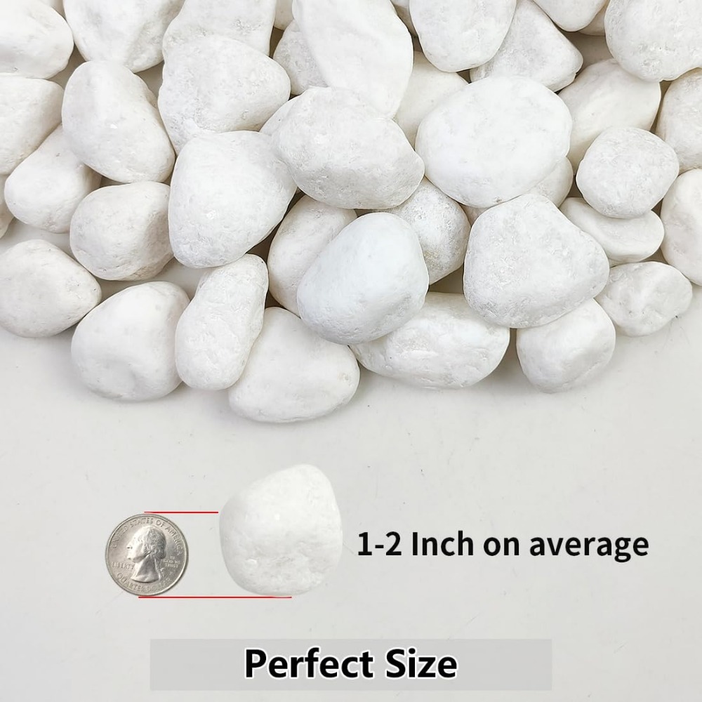 1-2 Inch White Pebbles for Ind - огляд і ціна Aquarium Fish Names