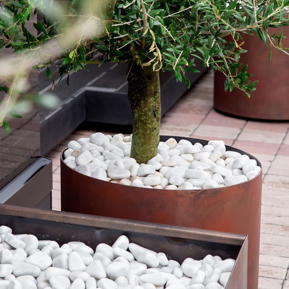 1-2 Inch White Pebbles for Ind - огляд і ціна Aquarium Fish Names