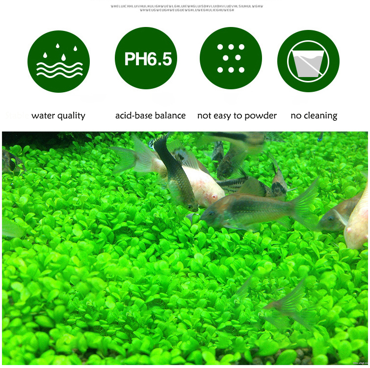 Aquarium Plant Seeds Soil Fish - огляд і ціна Aquarium Fish Accessories