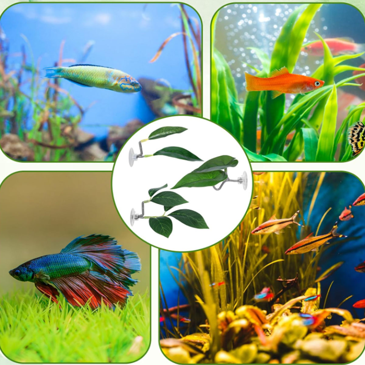 Betta Fish Hammock Plastic Imi - огляд і ціна Aquarium Fish Game