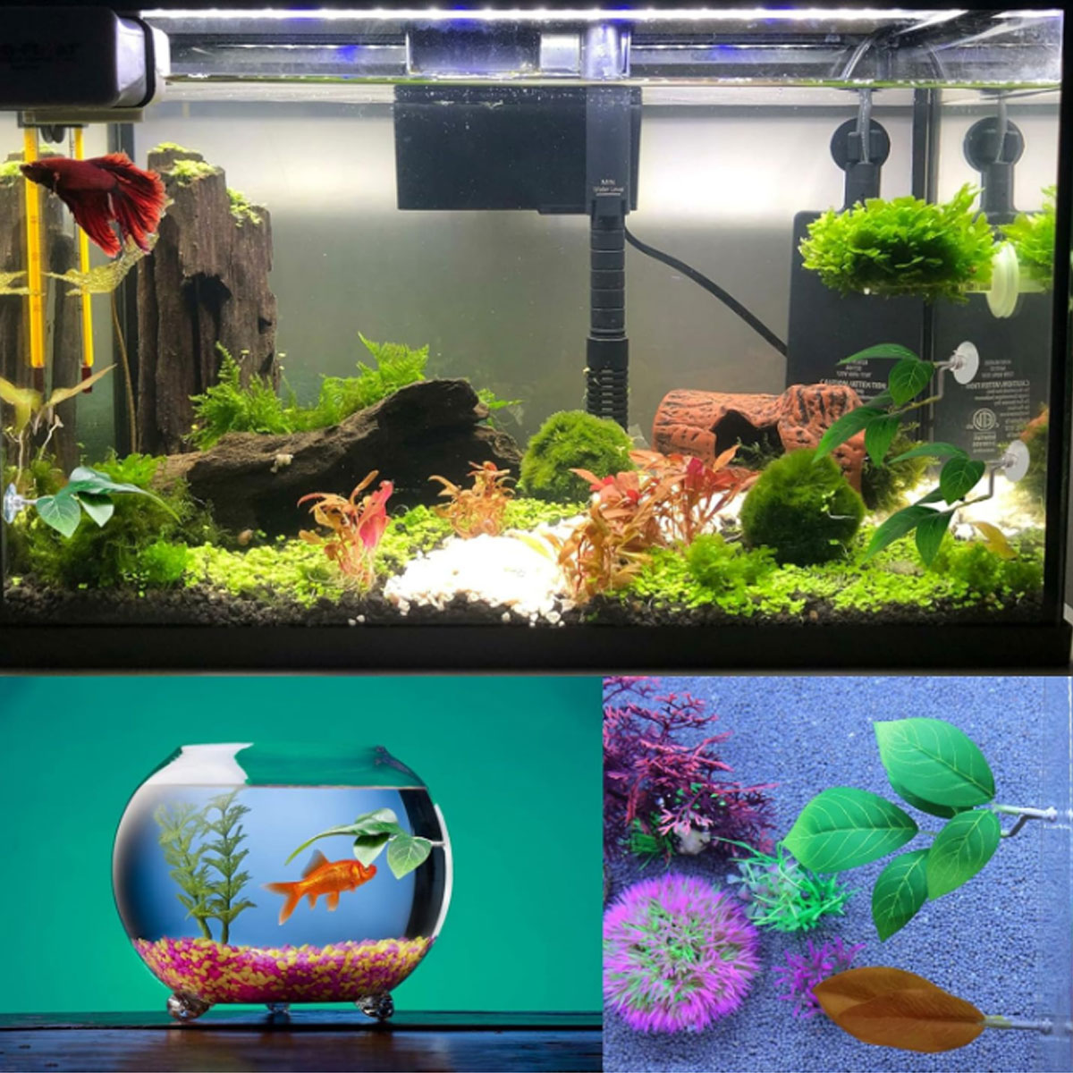 Betta Fish Hammock Plastic Imi - огляд і ціна Aquarium Fish Game