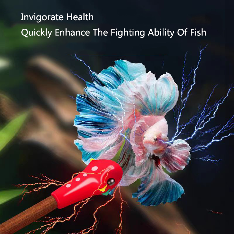Aquarium Betta Training Wand W - огляд і ціна Aquarium Fish Game