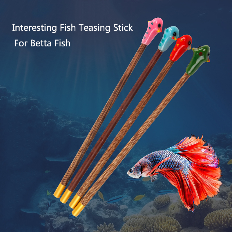 Aquarium Betta Training Wand W - огляд і ціна Aquarium Fish Game