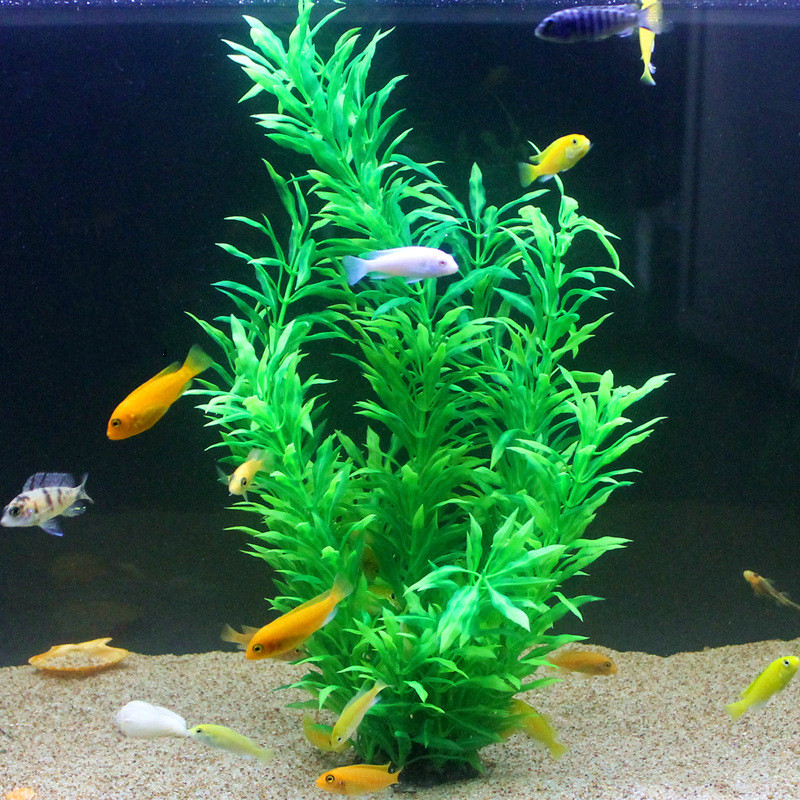 50CM Artificial Fish Tank Rare - огляд і ціна Aquarium Fish Real