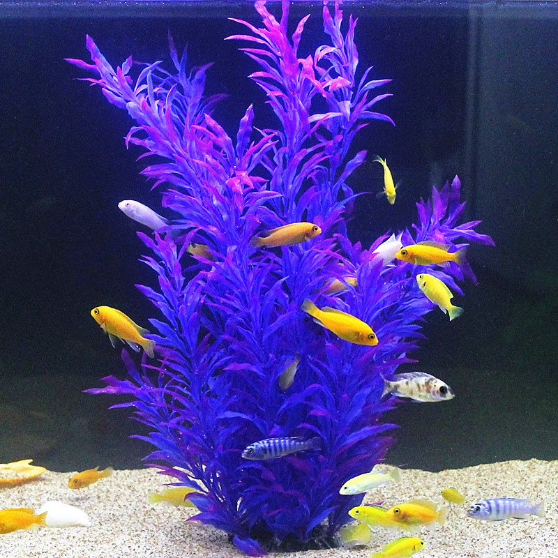 50CM Artificial Fish Tank Rare - огляд і ціна Aquarium Fish Real