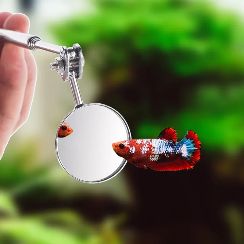 Scalable Stainless Steel Aquar - огляд і ціна Aquarium Fish Game