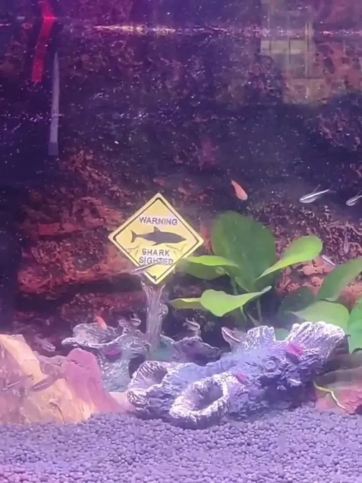 Resin Aquarium Decorative Orna - огляд і ціна Aquarium Fish Shark